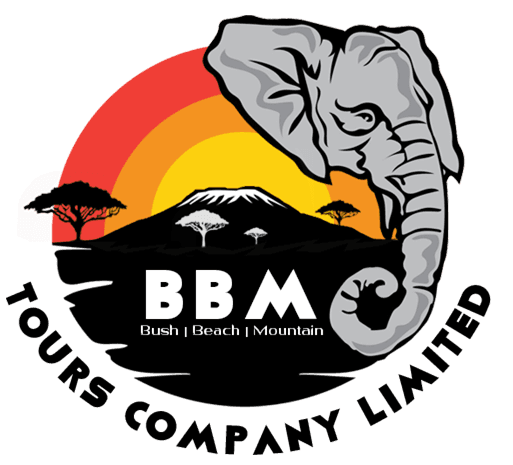 BBM Tours Company Limited