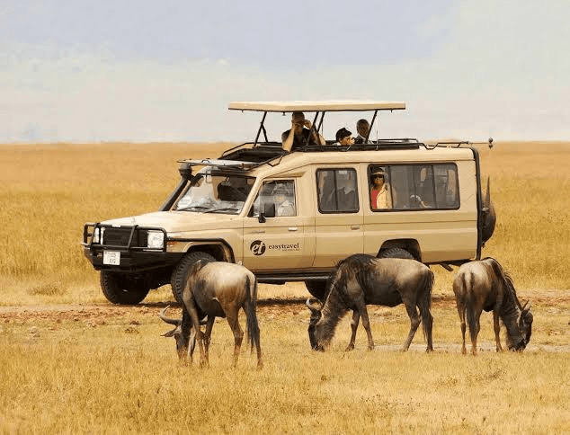 Safari vehicle and wildebeest on the plains