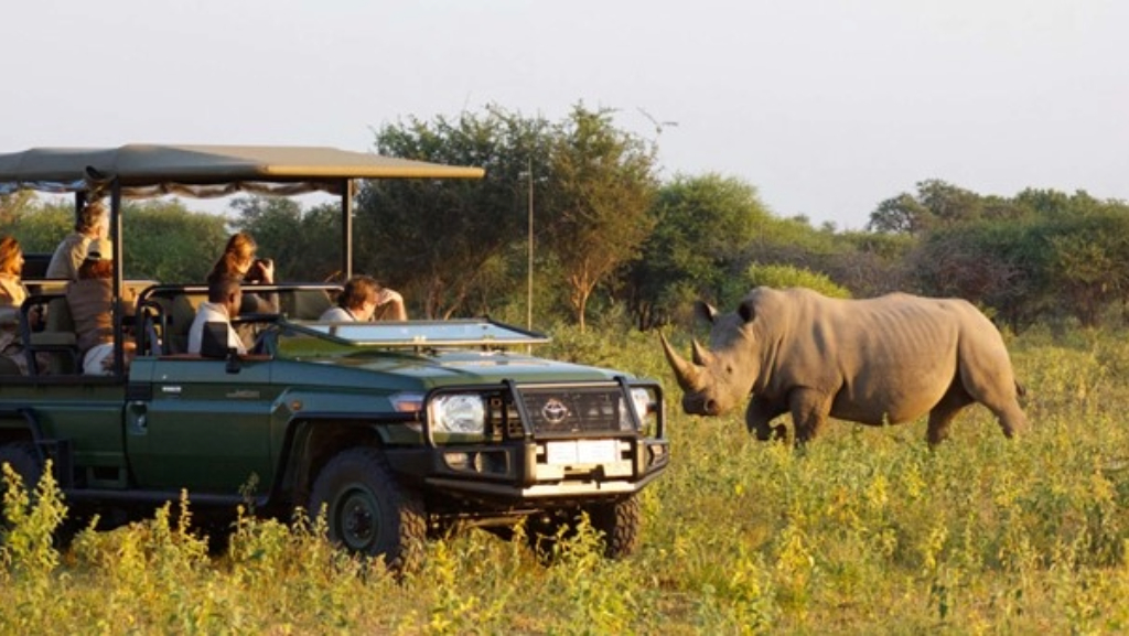 Tanzanian Safari In 2024 Navigating Tanzania With ConfidenceBBM Safaris   Tanzania Safari 1 